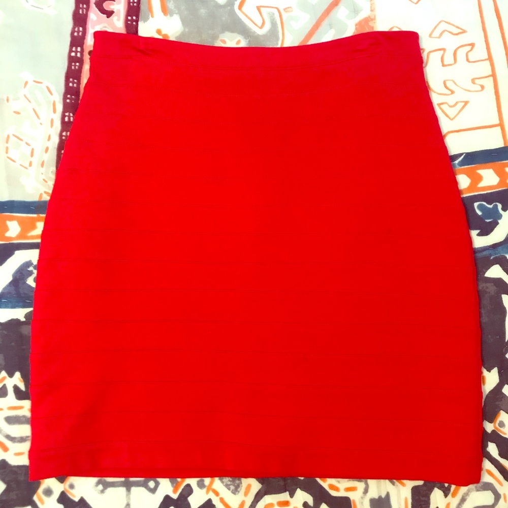 Express Fitted Skirt